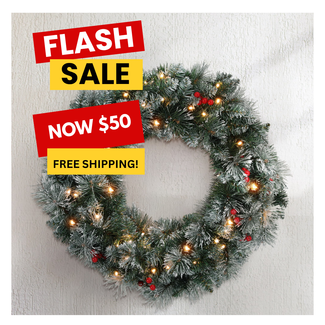 Jingle Jollys 60cm Pre-lit Snow-Frosted Christmas Wreath with Red Berries & Pine Needles 🌟