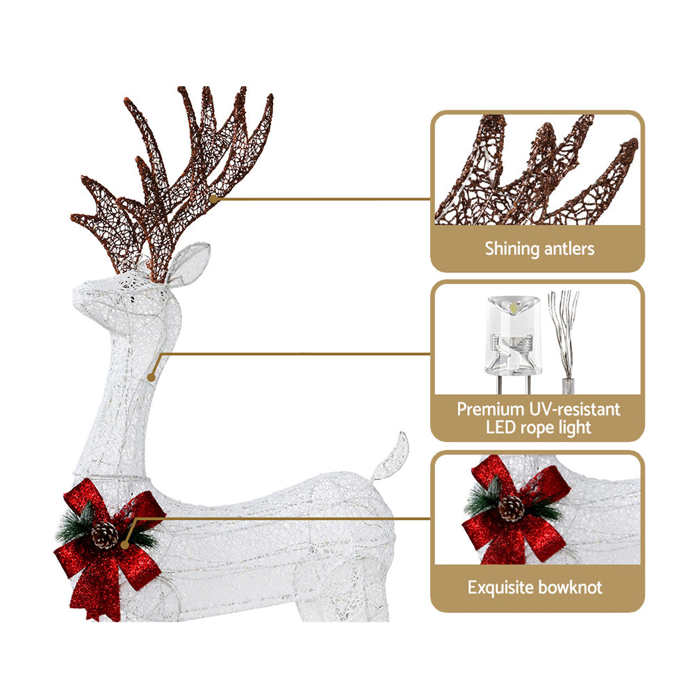 3D Reindeer Christmas Lights – Warm White LED Display